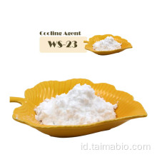 Penjualan Panas WS23 Agen Pendingin rasa/rasa/wewangian WS23 Powder